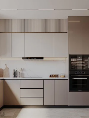 Minimalist Modern Modular Kitchen